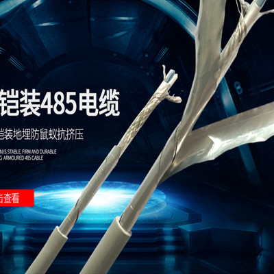 RS485屏蔽双绞线
