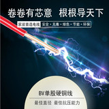 DJFFRP32-5*2*1.5mm²DJFFRP32铜丝编织总屏蔽防腐计算机电缆